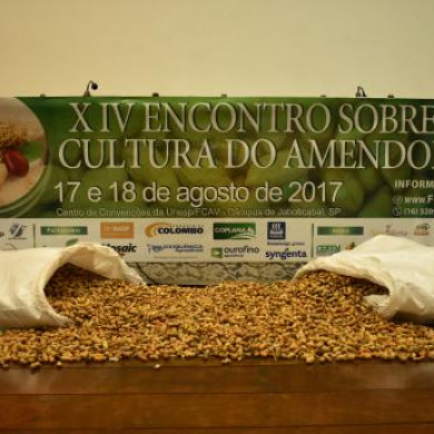 XIV Encontro sobre a cultura do amendoim