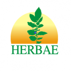 Herbae