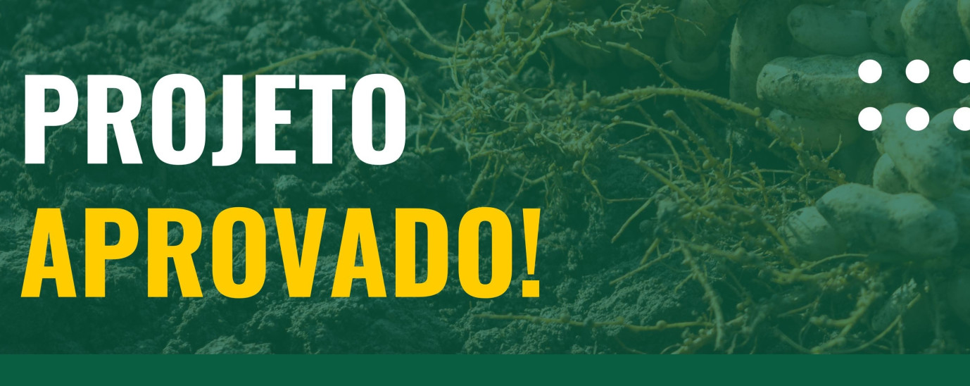 Projeto sobre propriedades do solo e cultura do amendoim é aprovado com financiamento da FAPEMIG